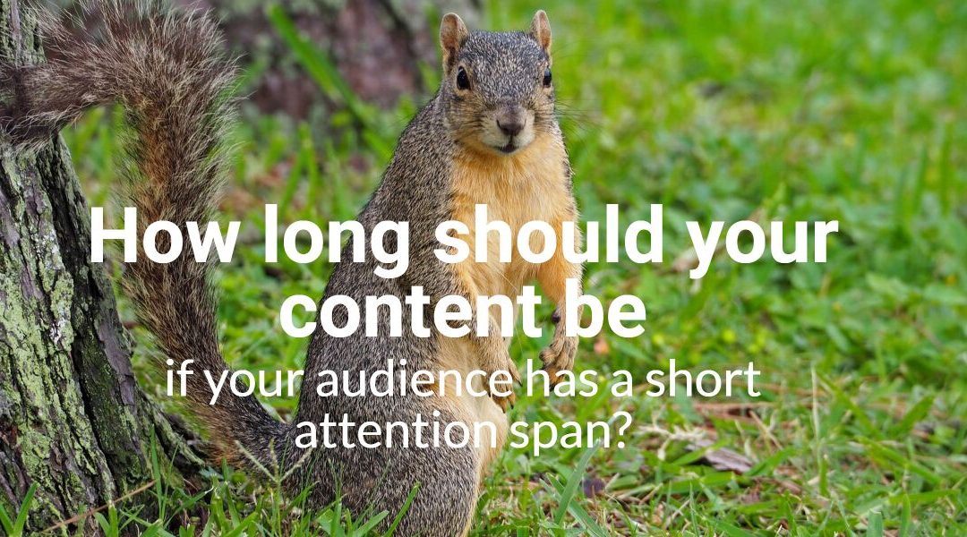 You Are Hereby Released from Thinking About Your Audience’s Short Attention Span