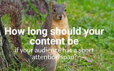 You Are Hereby Released from Thinking About Your Audience’s Short Attention Span